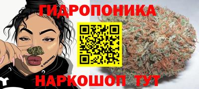 Альфа ПВП Кунгур