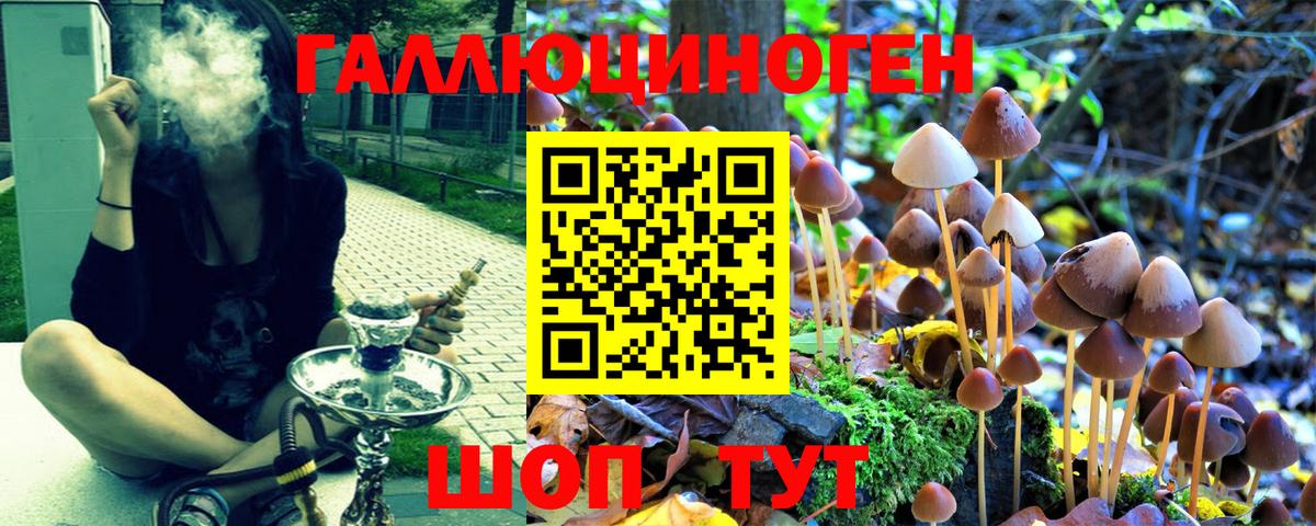 Галлюциногенные грибы Magic Shrooms Вышний Волочёк