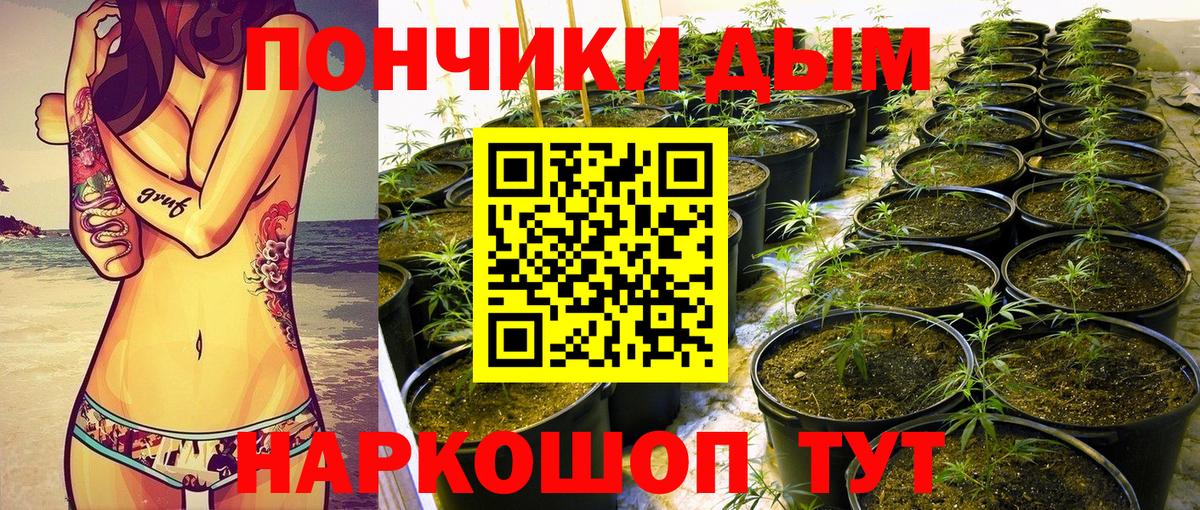 Бошки Шишки OG Kush  МАРИХУАНА семена  Вышний Волочёк  Каннабис марихуана  МАРИХУАНА LSD WEED  Вход с VPN 